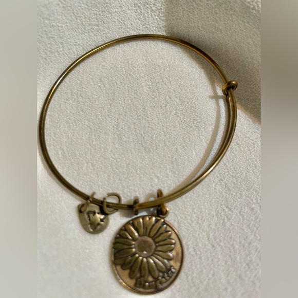 Lot of 14 ALEX & ANI meaningful bracelets, entire lot $121 (total value of $797) - Picture 12 of 14